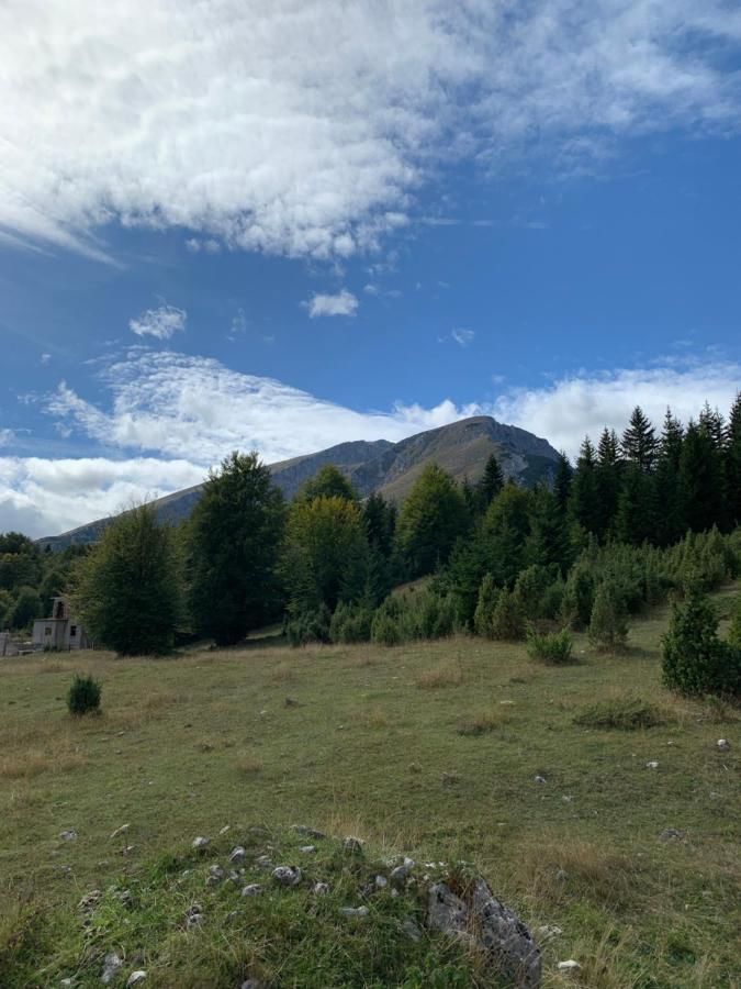 Дома для отпуска Holiday Homes Durmitorski Gaj Жабляк