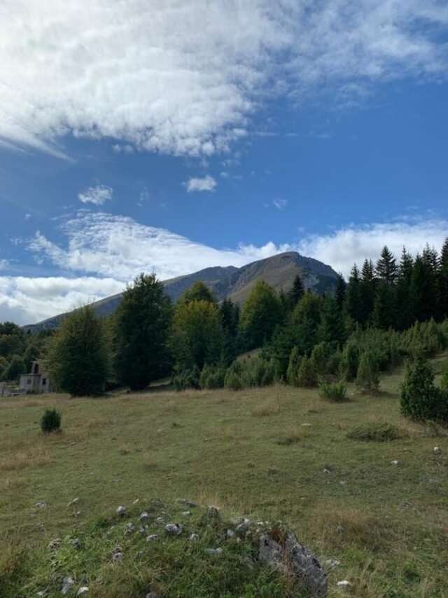 Дома для отпуска Holiday Homes Durmitorski Gaj Жабляк-71